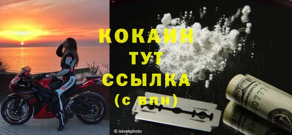 дживик Переславль-Залесский
