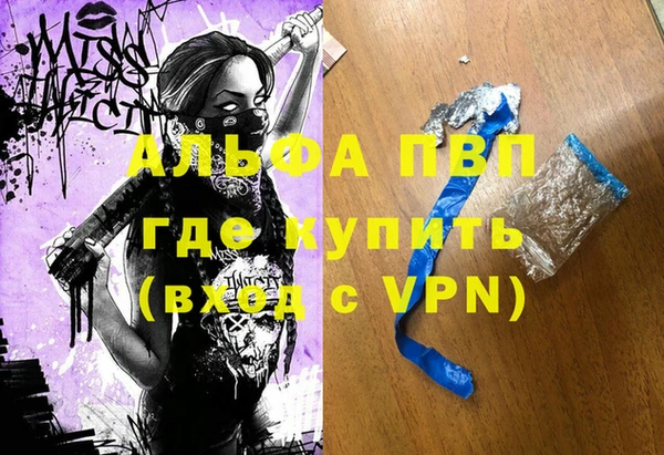 дживик Переславль-Залесский